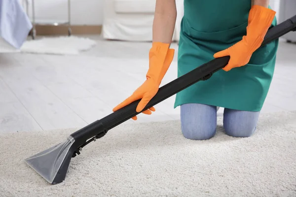 Professional carpet cleaning service